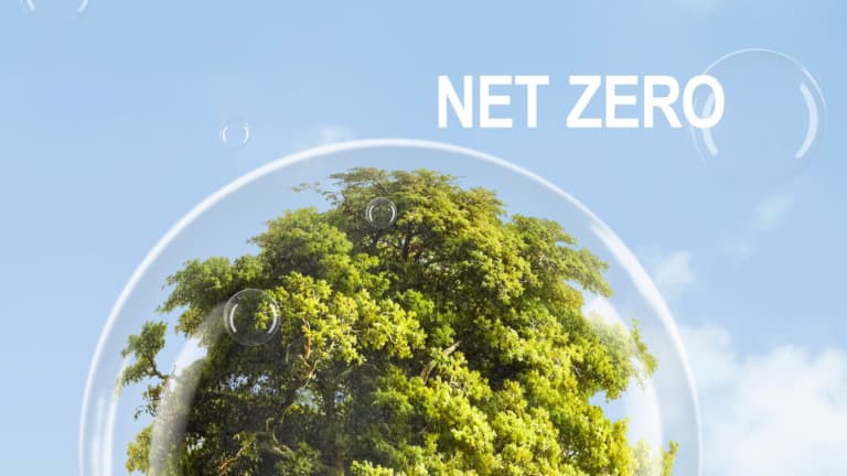 route to net zero carbon