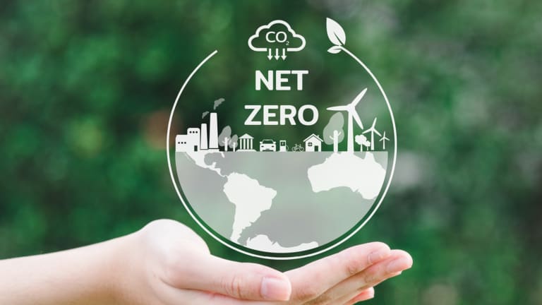 how net zero is changing business